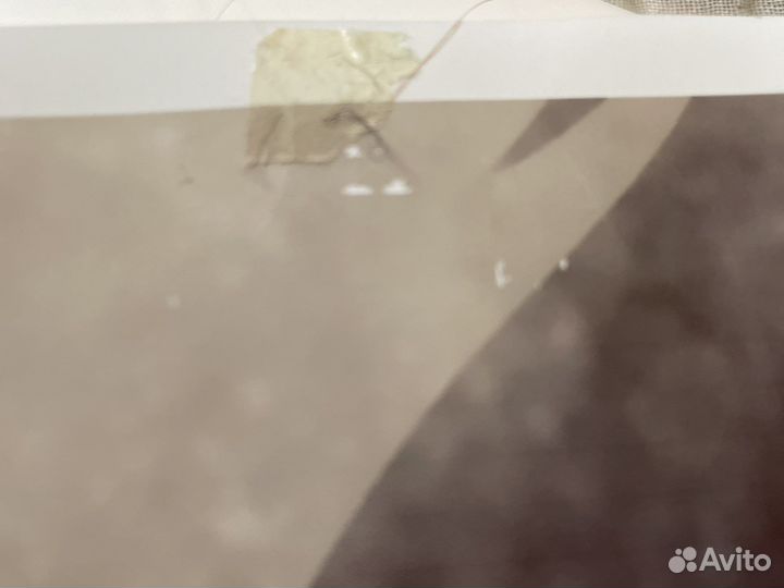 Постер Хицугая Тоусиро (Bleach)