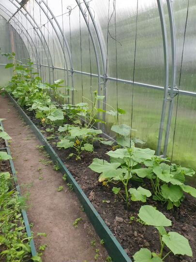 Дача 47 м² на участке 7 сот.