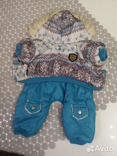 Одежда для собак мелких пород