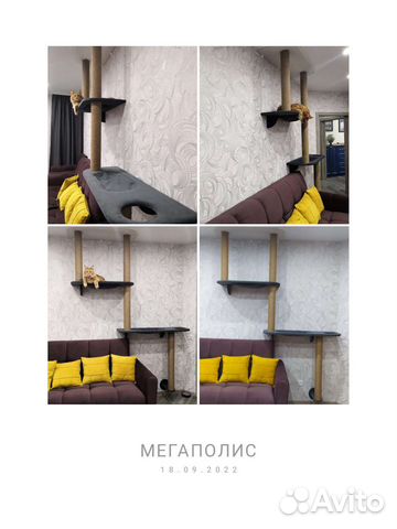 Когтеточки и домики для кошек