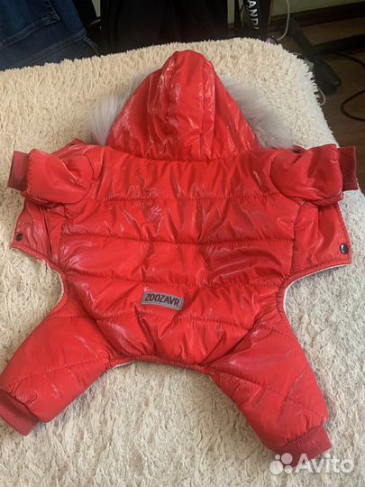 Костюм для маленькой собачки размер 30