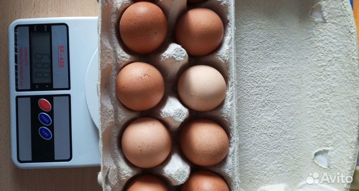 Домашние куриные яйца