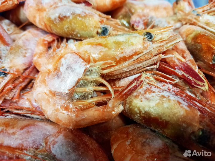 Креветка Магаданская 40/60, 50/70, 70/90