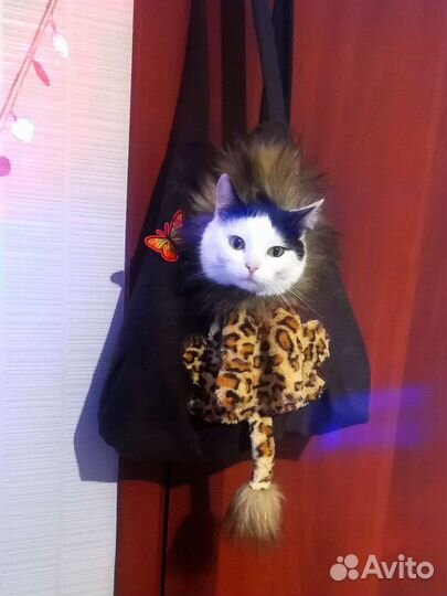 Сумка-переноска для животных