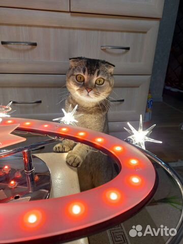 Люстра потолочная