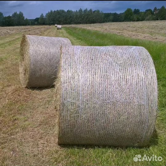 Сено в рулонах