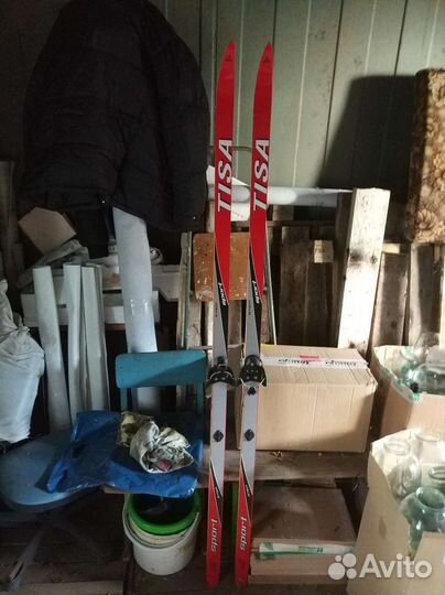 Лыжи Tisa Step Sport