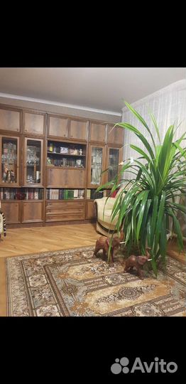 Пальма панданус