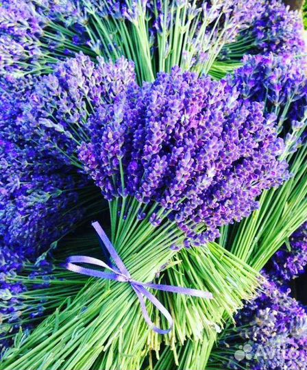 Парфюмерная вода женская Local Nature Lavender