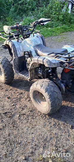 Avantis hunter 8+ lite