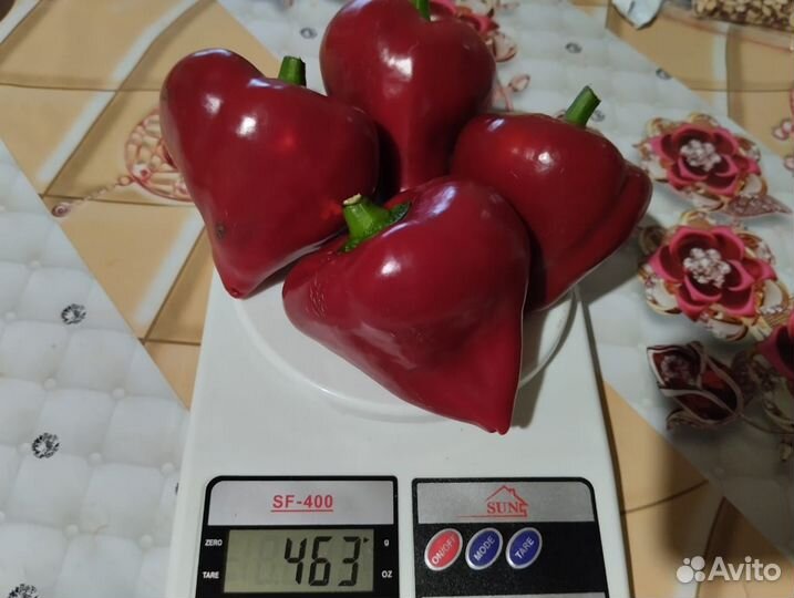 Семена сладкого перца