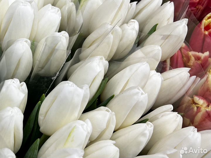 Тюльпаны ростов доставка цветов