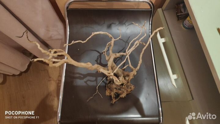 Коряга в аквариум