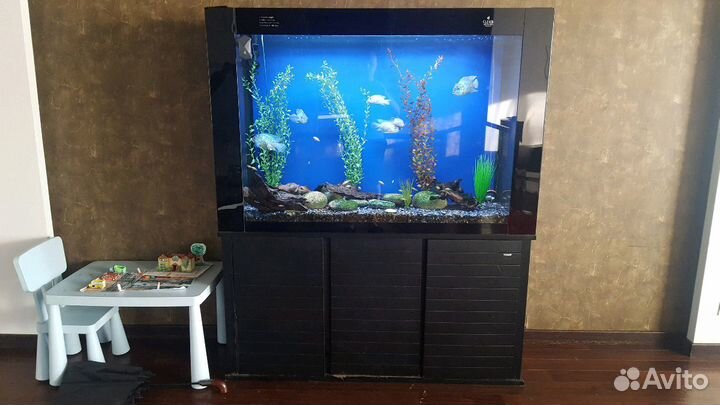 Аквариум