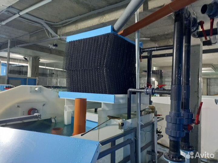 Узв на 3 тонны осетра в год