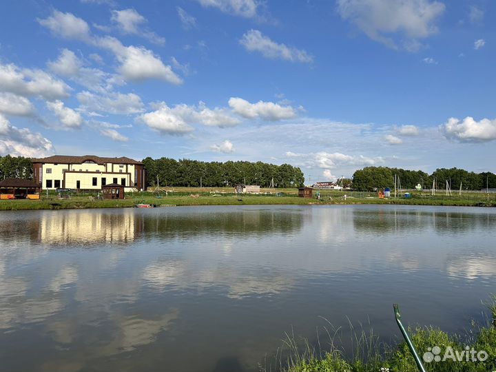 Платная рыбалка