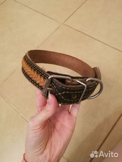 Поводок, ошейник, шлейка, намордник для собак