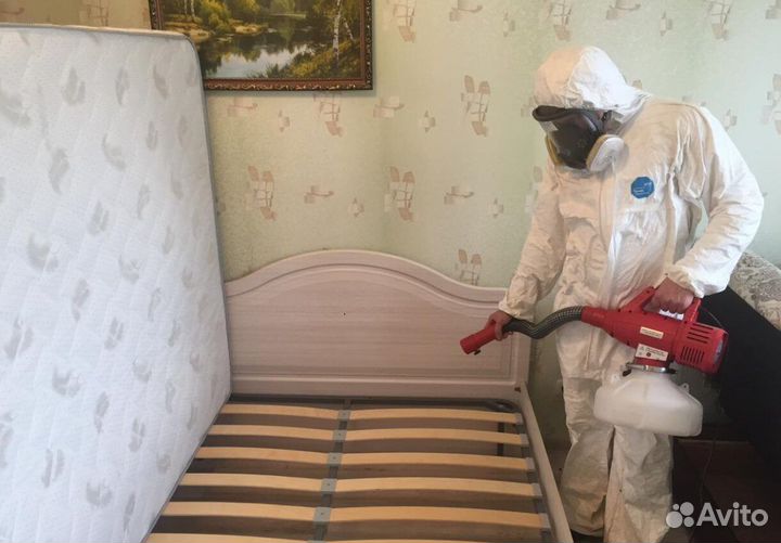 Уничтожим клопов тараканов клещей плесень запахи