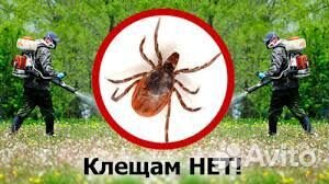 Обработка участков от клещей