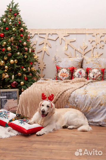 Собака на фотосессию