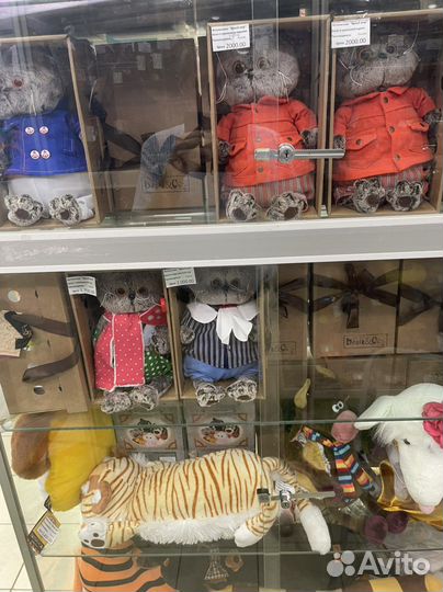 Басик в жилетке