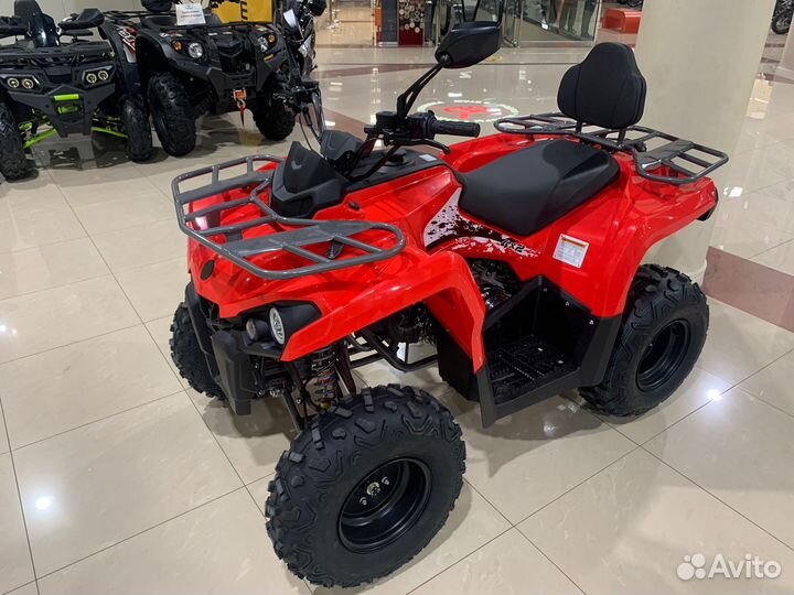 Мопед alfa C.moto forester NEW с кофром