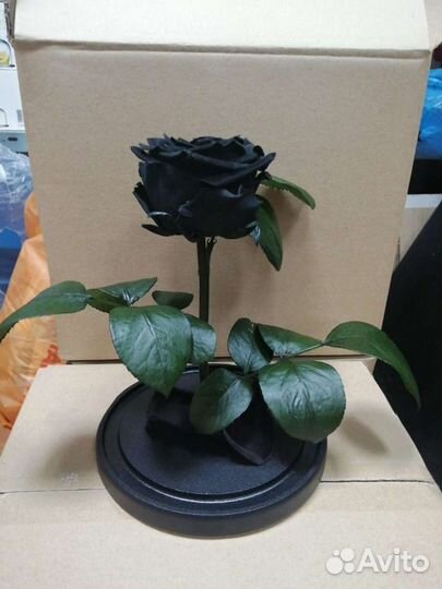 Роза в колбе оптом и в розницу