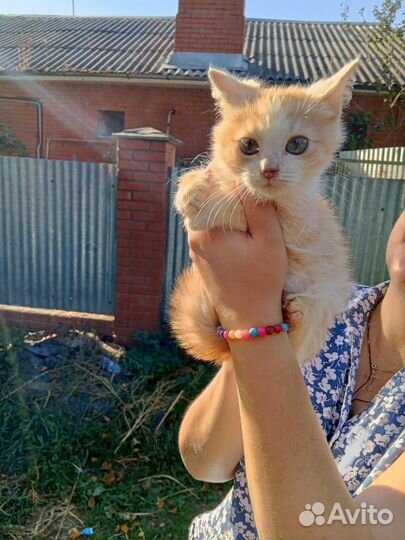 Супер - Красавчик