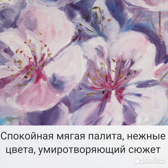 Картина маслом на холсте, цветы яблони. 35х50