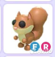 Продаётся очень редкий фр кролик, и белка фр