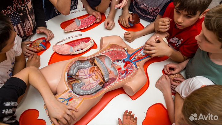 Интерактивная программа «Будь здоров»