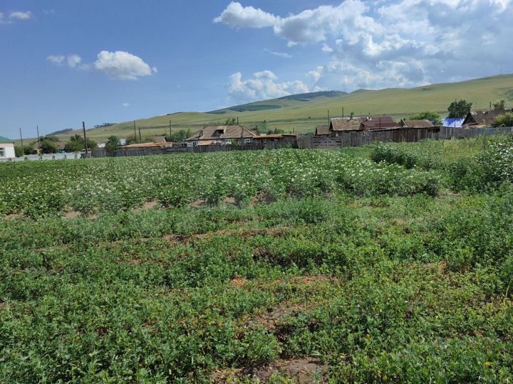 Дом 61 м² на участке 10 сот.