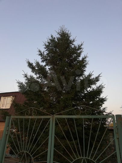 Дача 13 м² на участке 6 сот.