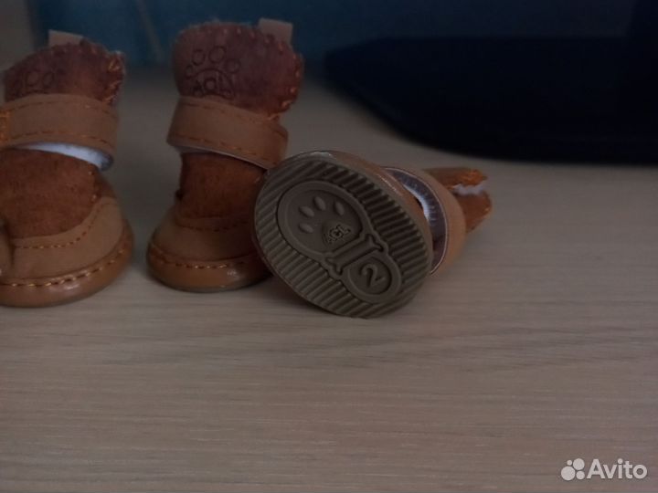 Обувь для мелких собак