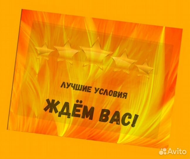 Комплектовщик Спецодежда Еженедельный аванс М/Ж