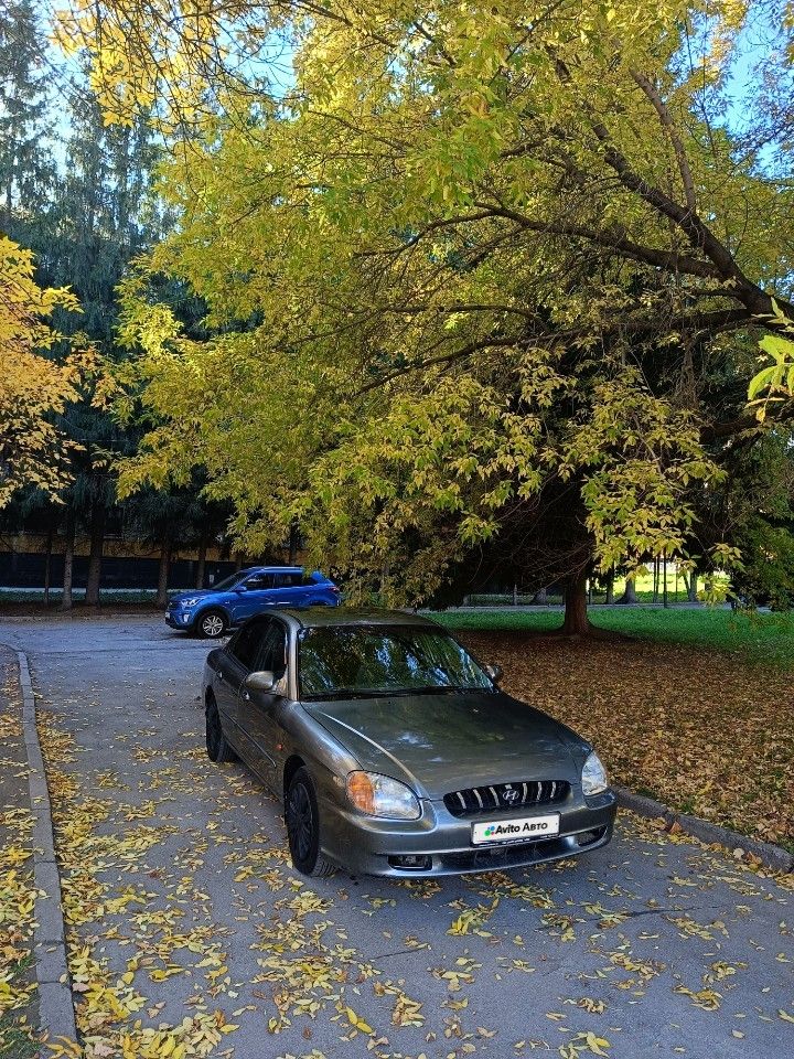 Hyundai Sonata: фото владельца