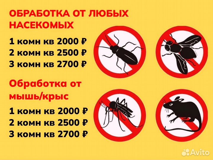 Дезинфекция, уничтожение тараканов