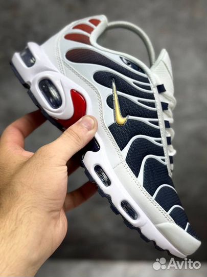 Кроссовки Nike air max tn plus