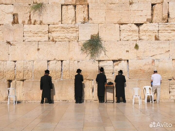 Экскурсия — Шарм-эль-Шейх — Из Шарм-эль-Шейха — в