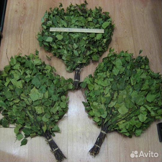 Веники берёза