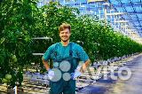 Работник теплицы