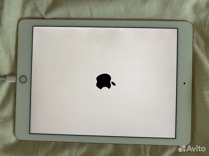 iPad pro 9.7 256