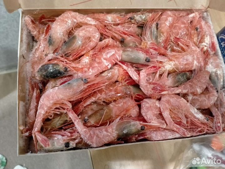 Креветка свежая северная 80