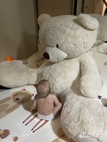 Огромный плюшевый медведь