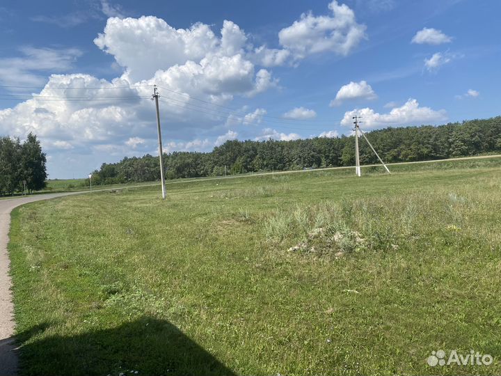 Земельный участок и здание под торговый комплекс