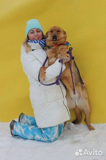 Баффи предали и отдали в приют