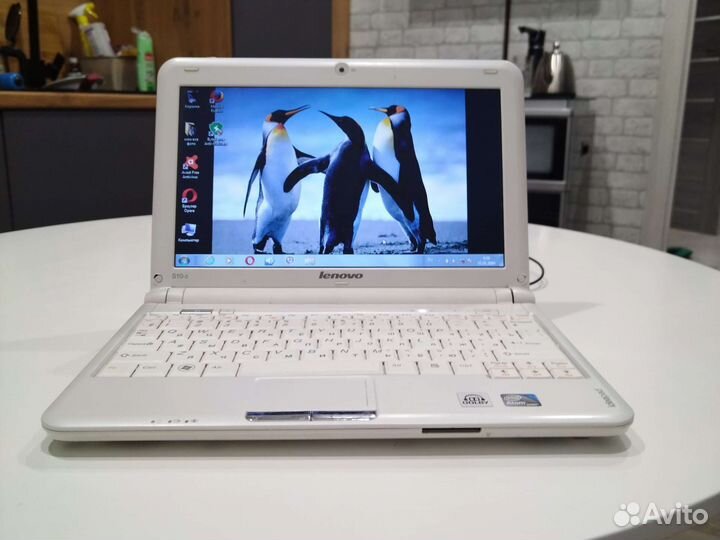 Нетбук lenovo S10-2