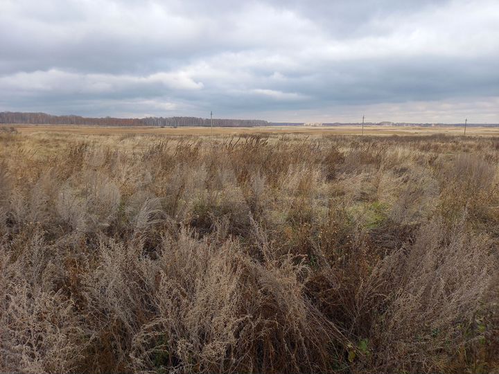 Участок 12 сот. (ИЖС)