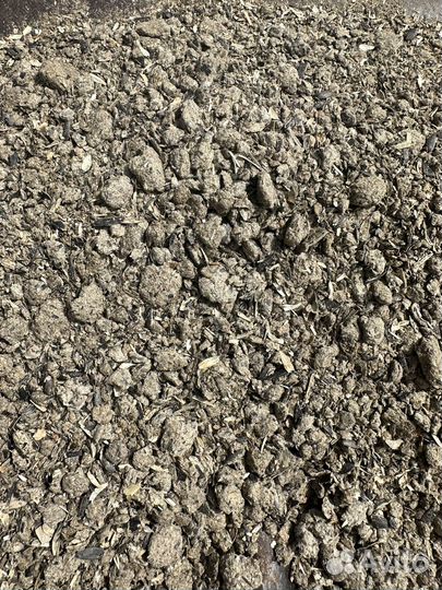 Шрот подсолнечный