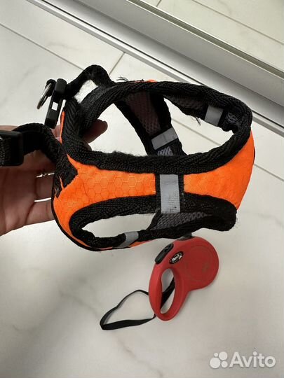 Рулетка для собак flexi 3 m и шлейка